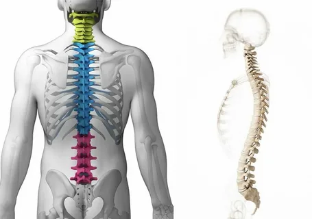 How We Can Cover Injury Pain By Exer cise Duis aute